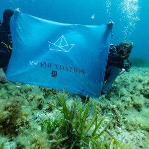 1747904345-msc-foundation-flag-under-the-waves
