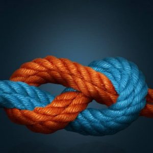 Alianza Maersk Hapag Lloyd