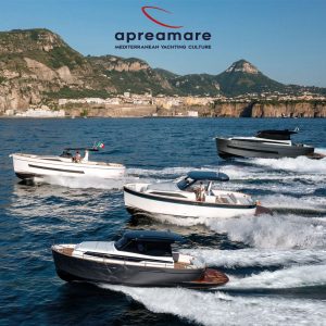 Apremare distribuidores Italia Espana