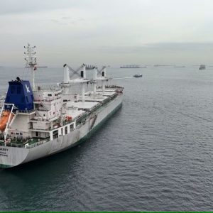 Colombia OMI granelero-mar-negro