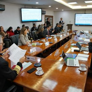 Dimar auditoria OMI 2