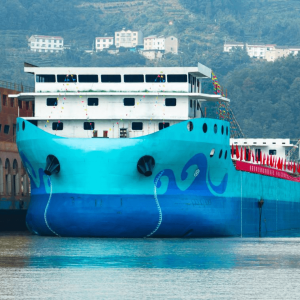 Granelero electrico China 10-2025