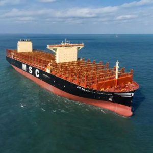 MSC Celestino Maresca 798
