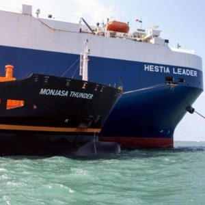 Monjasa Hestia Leader - Biocombustibles