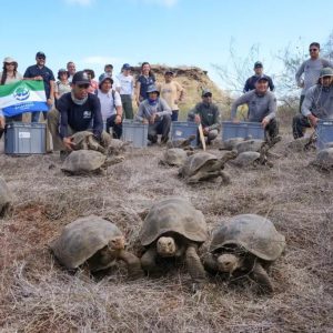 National Geographic Lindblad Expeditions - Tortugas gigantes isla Floreana