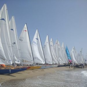 Patins Catalans Americas Cup 4