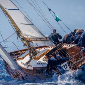 Regata Puig Vela Classica 2023