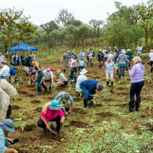 Royal-Caribbean-Group-Foundation-Image2-1300