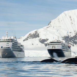 Silversea Cruises alaska ballena