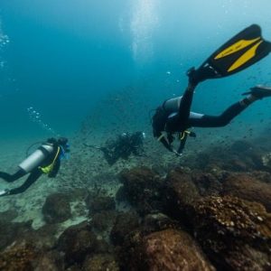 Sitio de buceo El Faro - Parque Nacional Coiba - Golfo de Chiriqui Panama