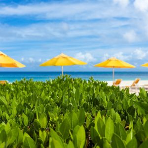 Visit Anguilla 10-2024